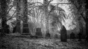 The Radikals: A Para The Radikals: A Para